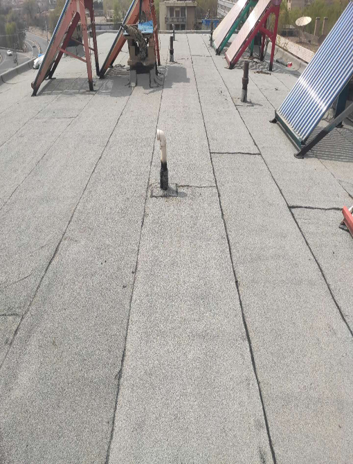 建設單位——陽光建筑工程有限公司